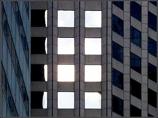 Window boxes.